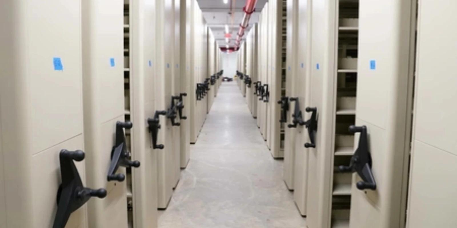 Army and Air Force Remove DEI Books from Libraries